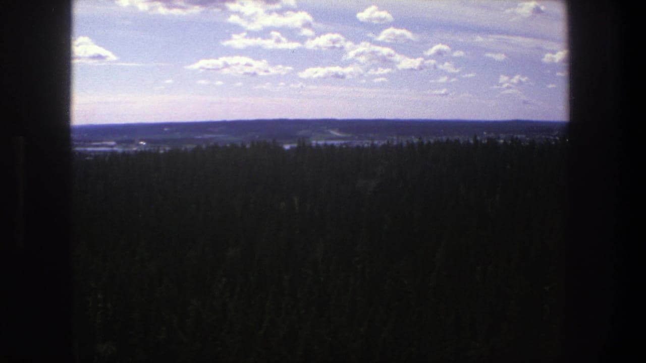 High-angle 8mm view in Denmark, 1975, with shadowed forest stretching toward a low horizon and bright clouds.