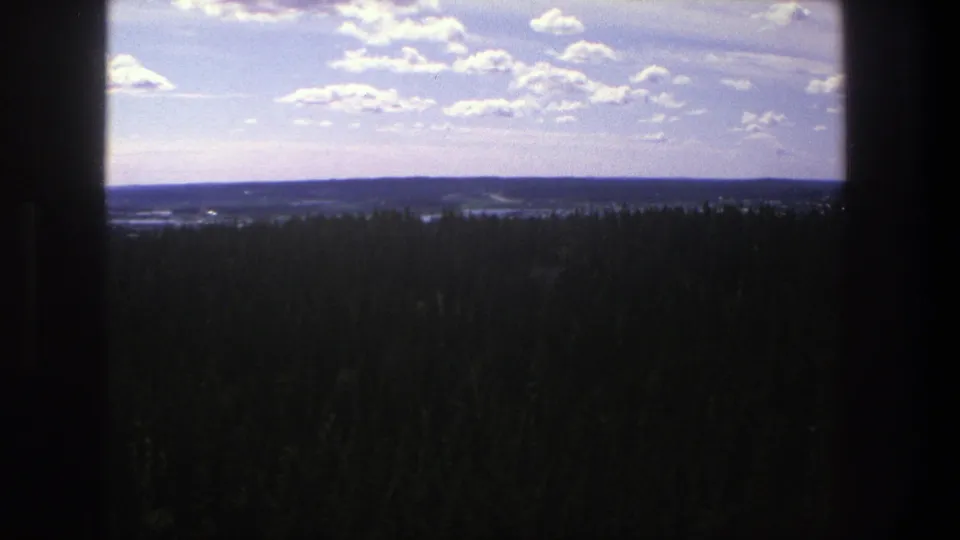 High-angle 8mm view in Denmark, 1975, with shadowed forest stretching toward a low horizon and bright clouds.