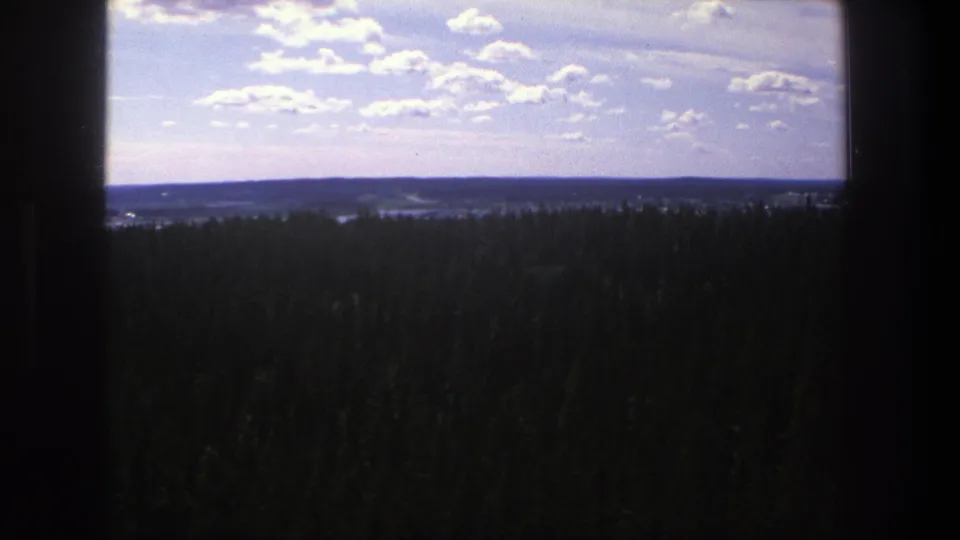 Vintage 8mm frame of a high wooded view in Denmark, with treetops, low distant land, and scattered clouds.