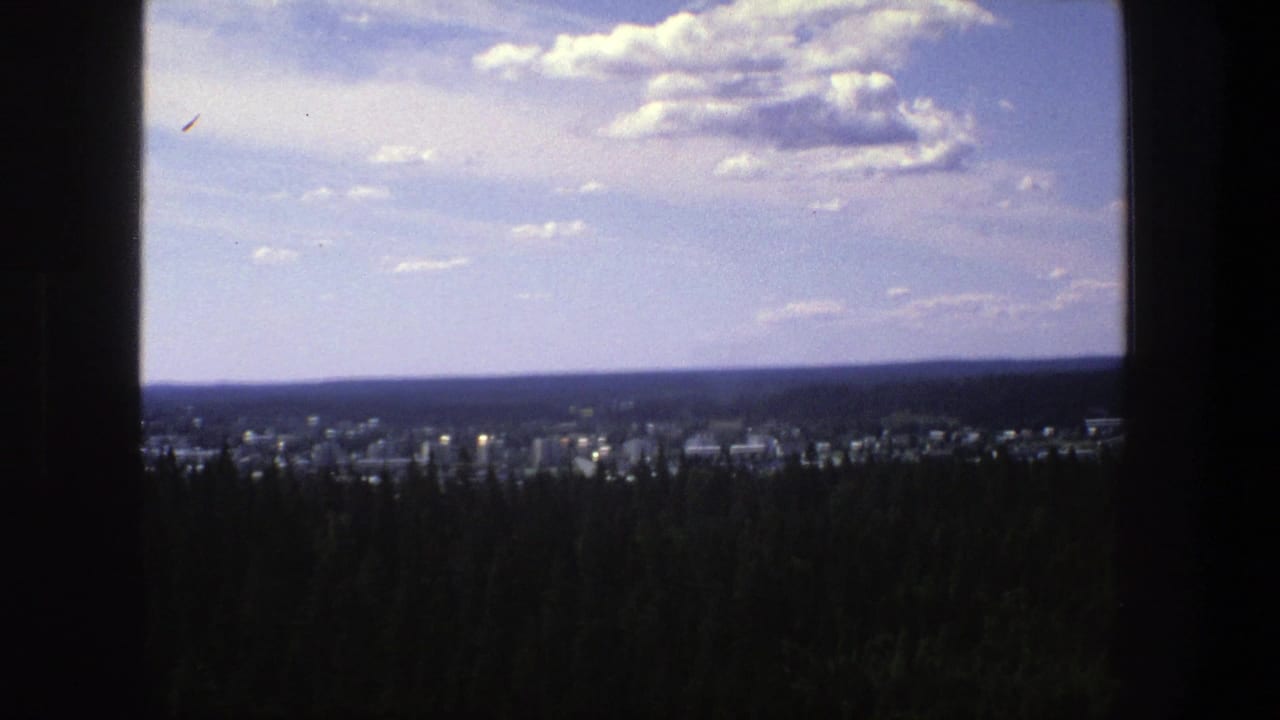 Wide city-and-forest panorama framed by dark vertical edges.