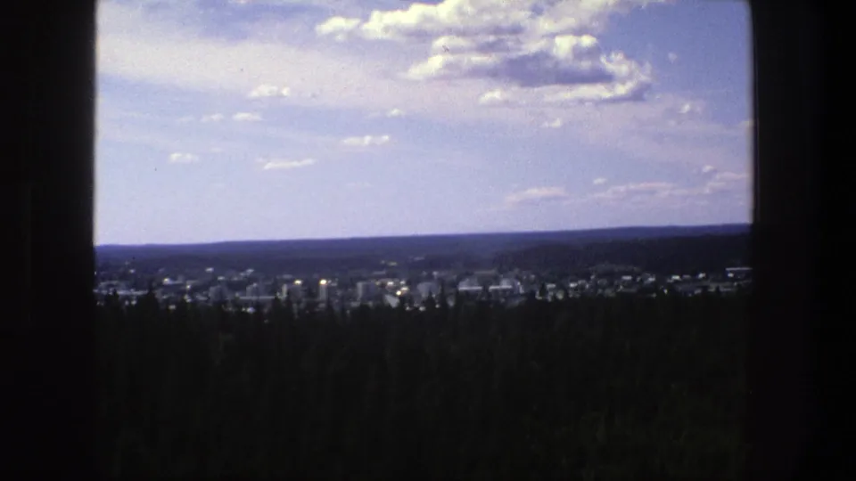 Distant Danish townscape from 1975, with low buildings behind dense conifers and a pale cloudy sky.