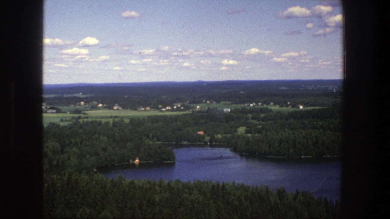 Wide view over forest, water, fields, and scattered houses under a blue sky.