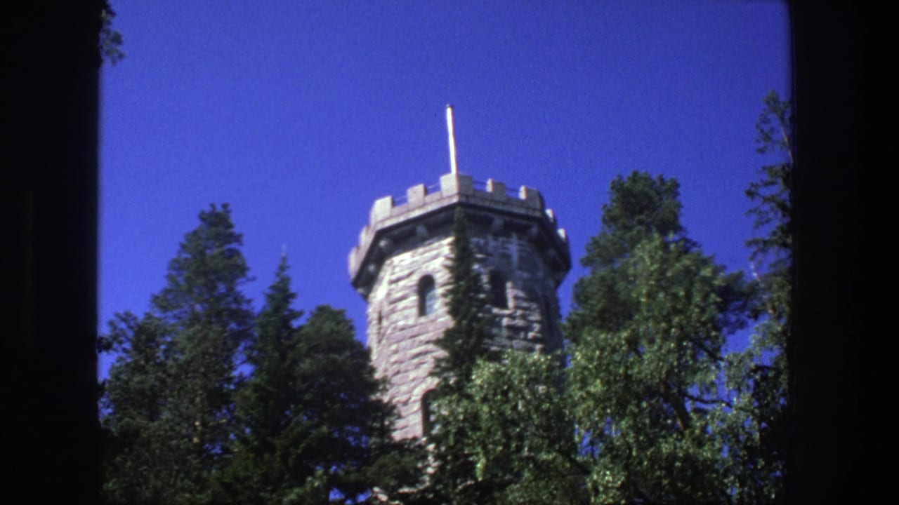 Stone tower with crenellated top and flagpole rising above leafy trees.