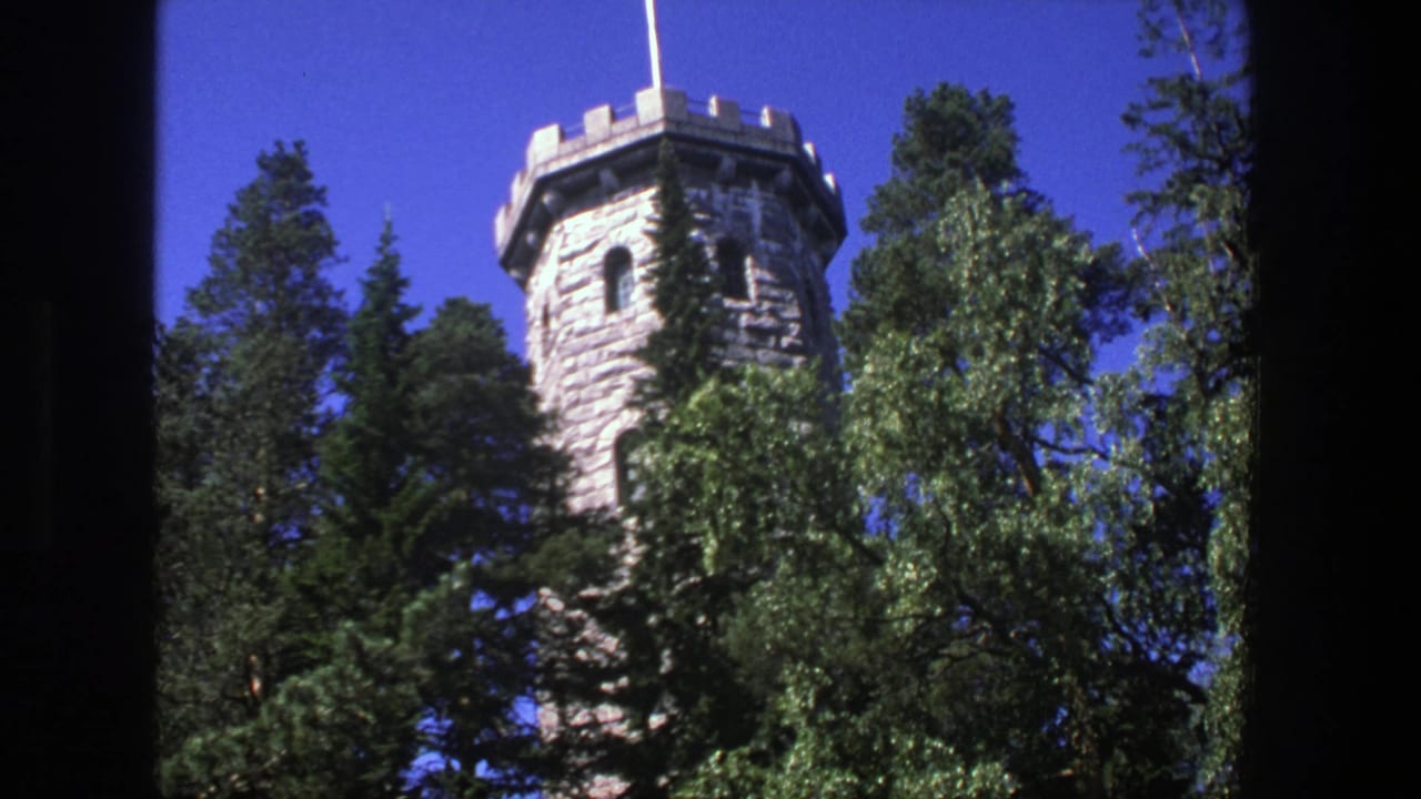 Stone tower with crenellations rising behind tall trees under a blue sky.