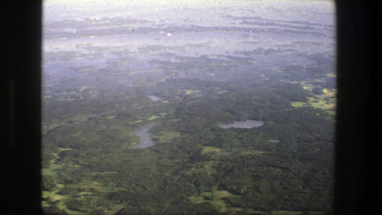 Aerial view of green forest and scattered lakes under a pale sky.