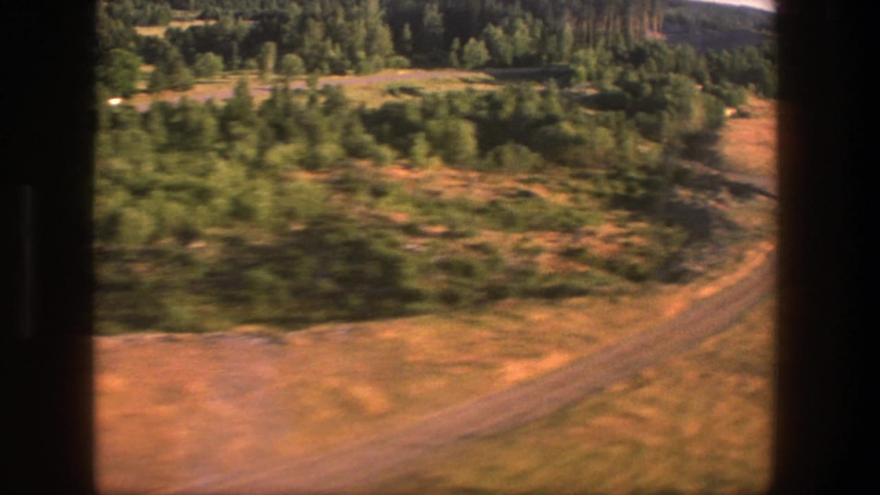 Low aerial view of wooded countryside, open earth, and a curving track or road below.
