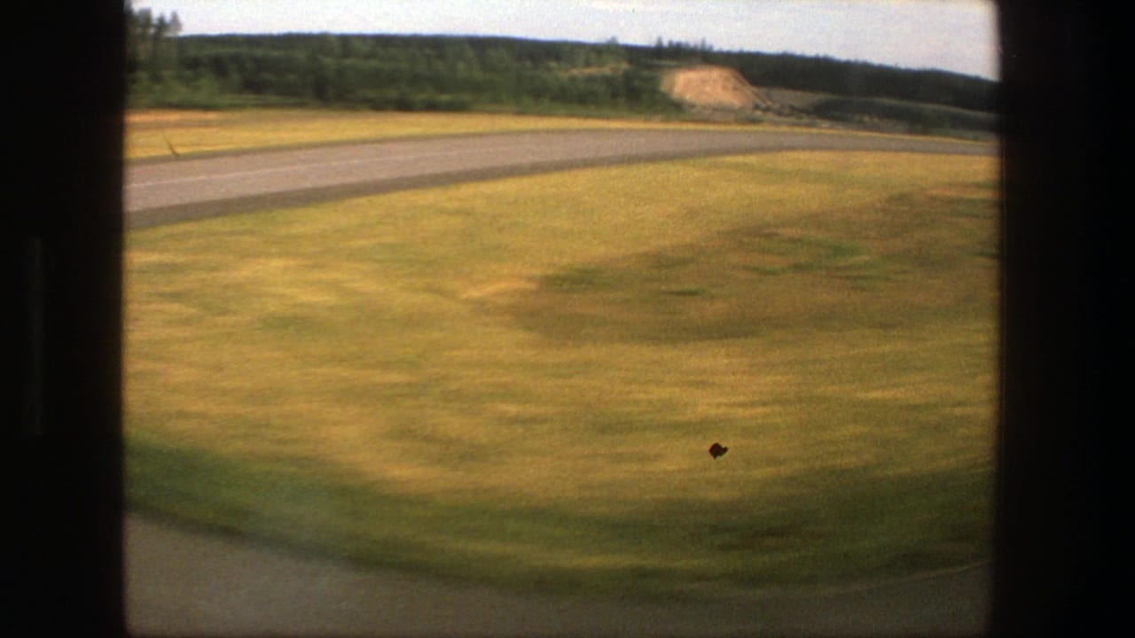 Roadside field and distant tree line seen from a moving vehicle.