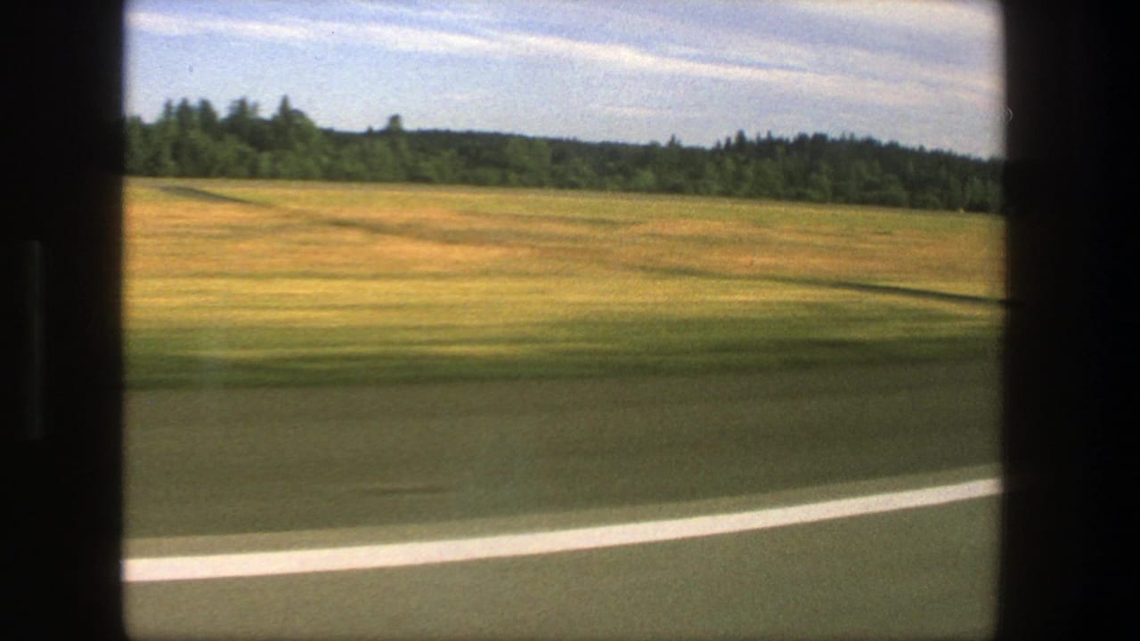Curving white road line beside fields and a wooded horizon.