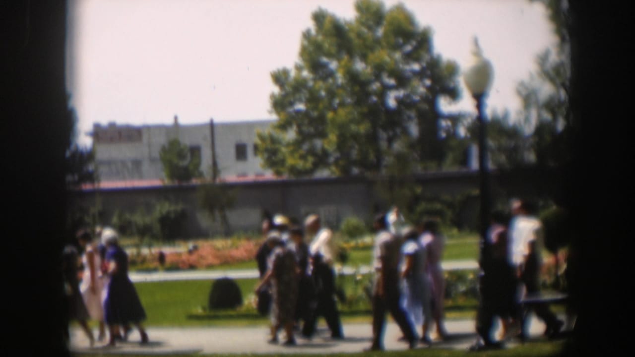 Groups of adults move along a sunlit path with lawns, flowers, trees, and a building behind them.
