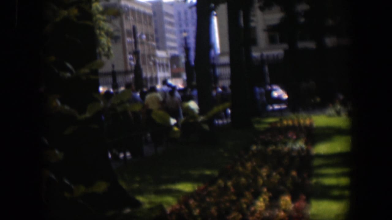 People gather near a fence beside a sunny lawn, trees, flowerbed, street, and buildings.