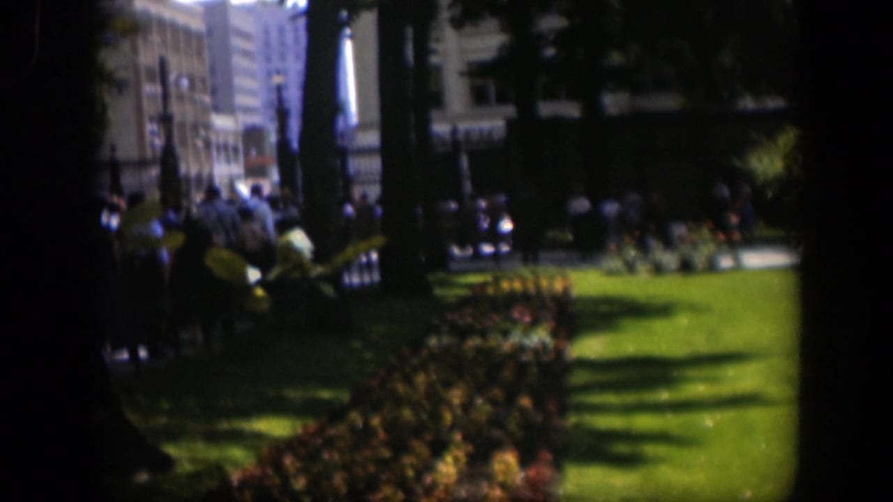 Sunny park lawn with flowerbeds, trees and distant pedestrians near a path.