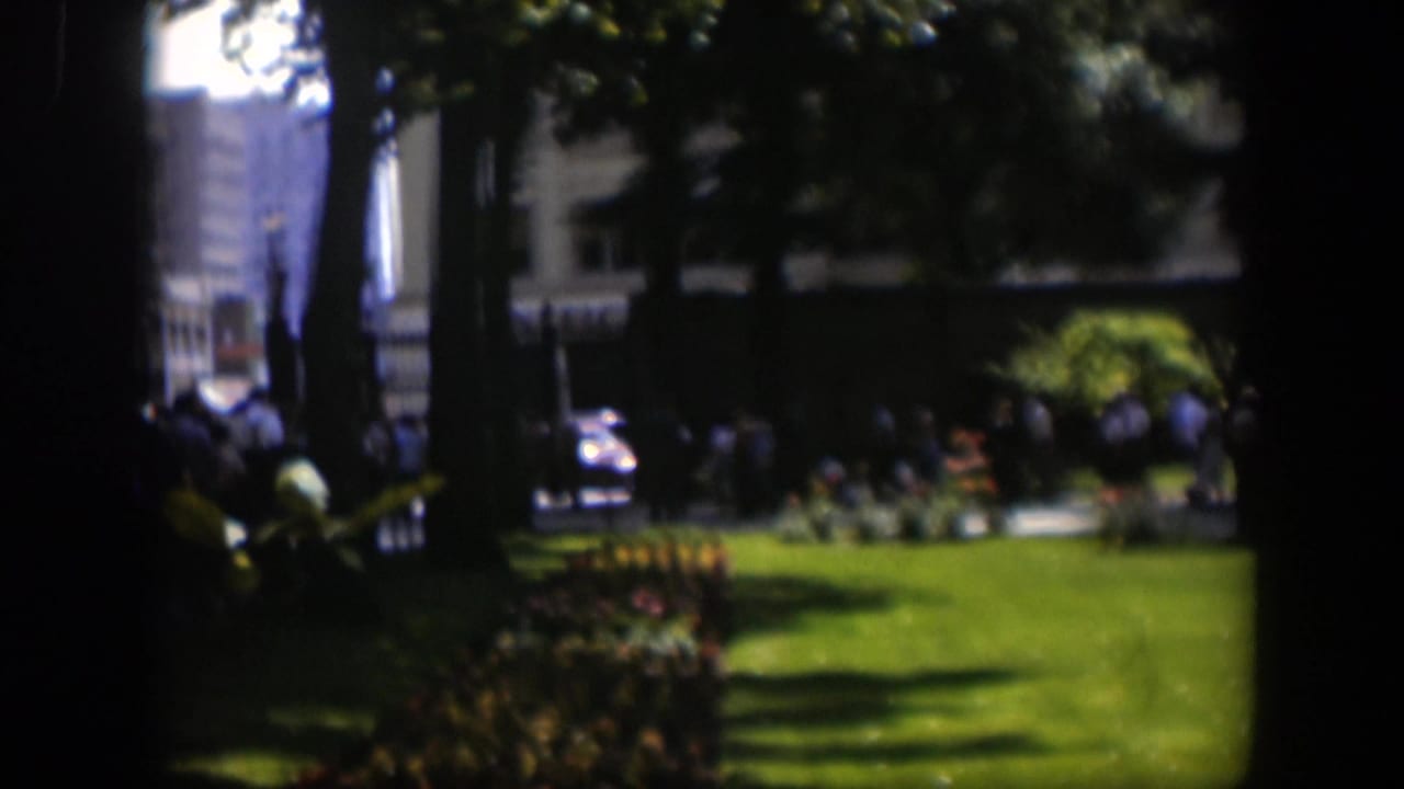 1951 Wyoming park view with sunlit grass, flowerbeds, tall trees and small groups of people in the background.