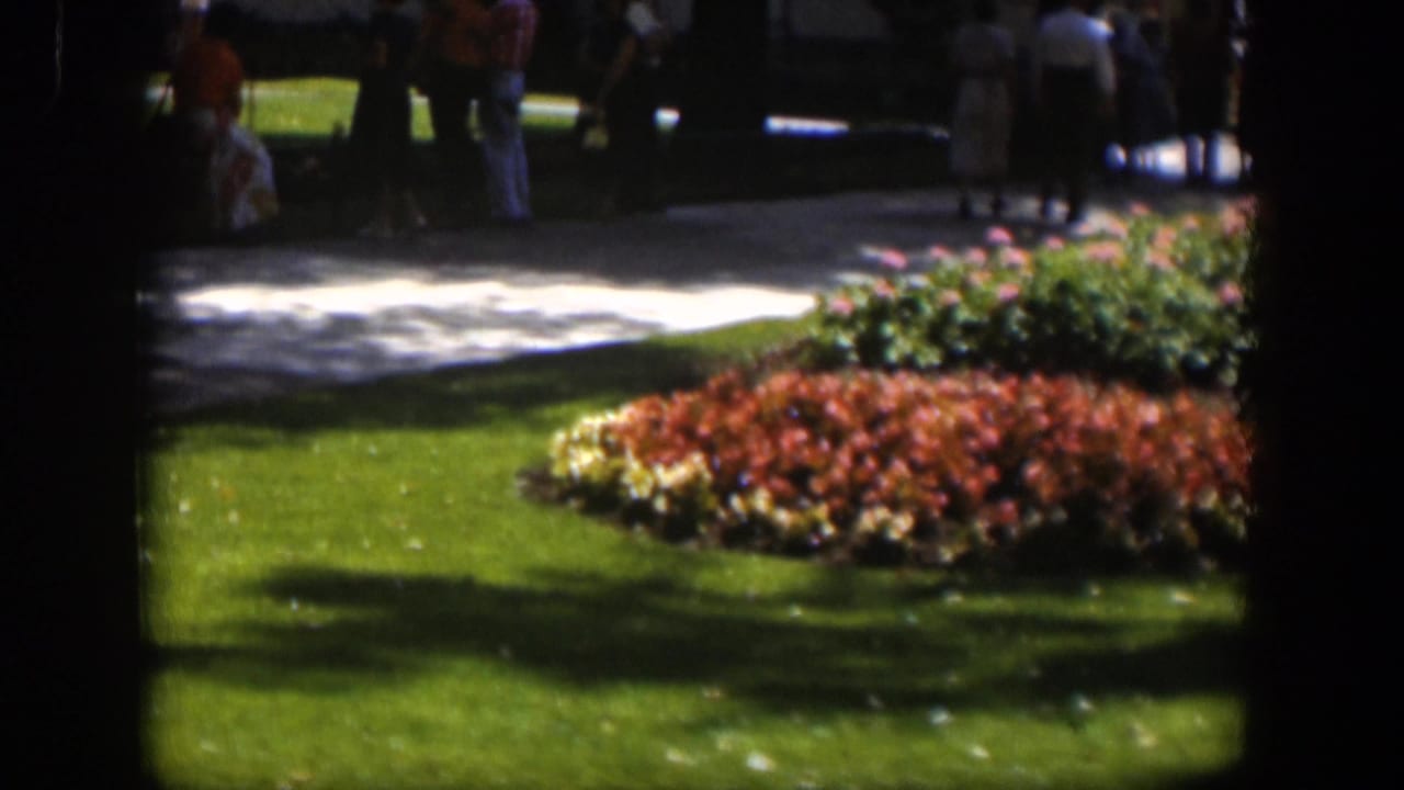 Sunlit lawn and red flower bed with people standing and walking in the background.