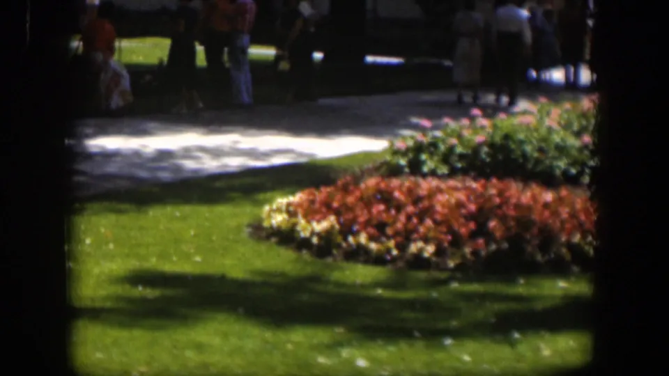 A soft 8mm view of landscaped flowers and grass in Wyoming, with distant visitors partly obscured by shade.