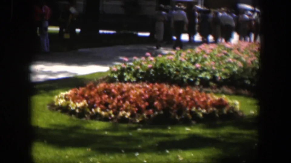 1951 home-movie frame showing red and pink park flower beds, bright grass, and a small distant group near a walkway.