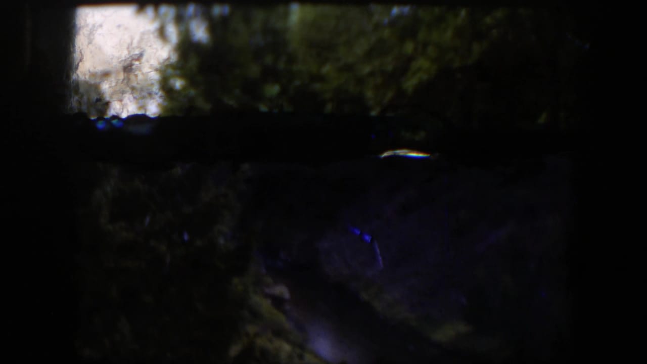 Shadowed 8mm frame from the Wyoming reel, showing dark trees and a faint water or ground surface with strong film-edge borders.
