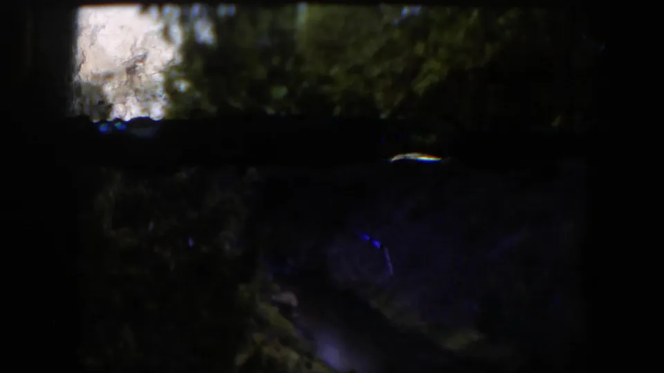 Shadowed 8mm frame from the Wyoming reel, showing dark trees and a faint water or ground surface with strong film-edge borders.