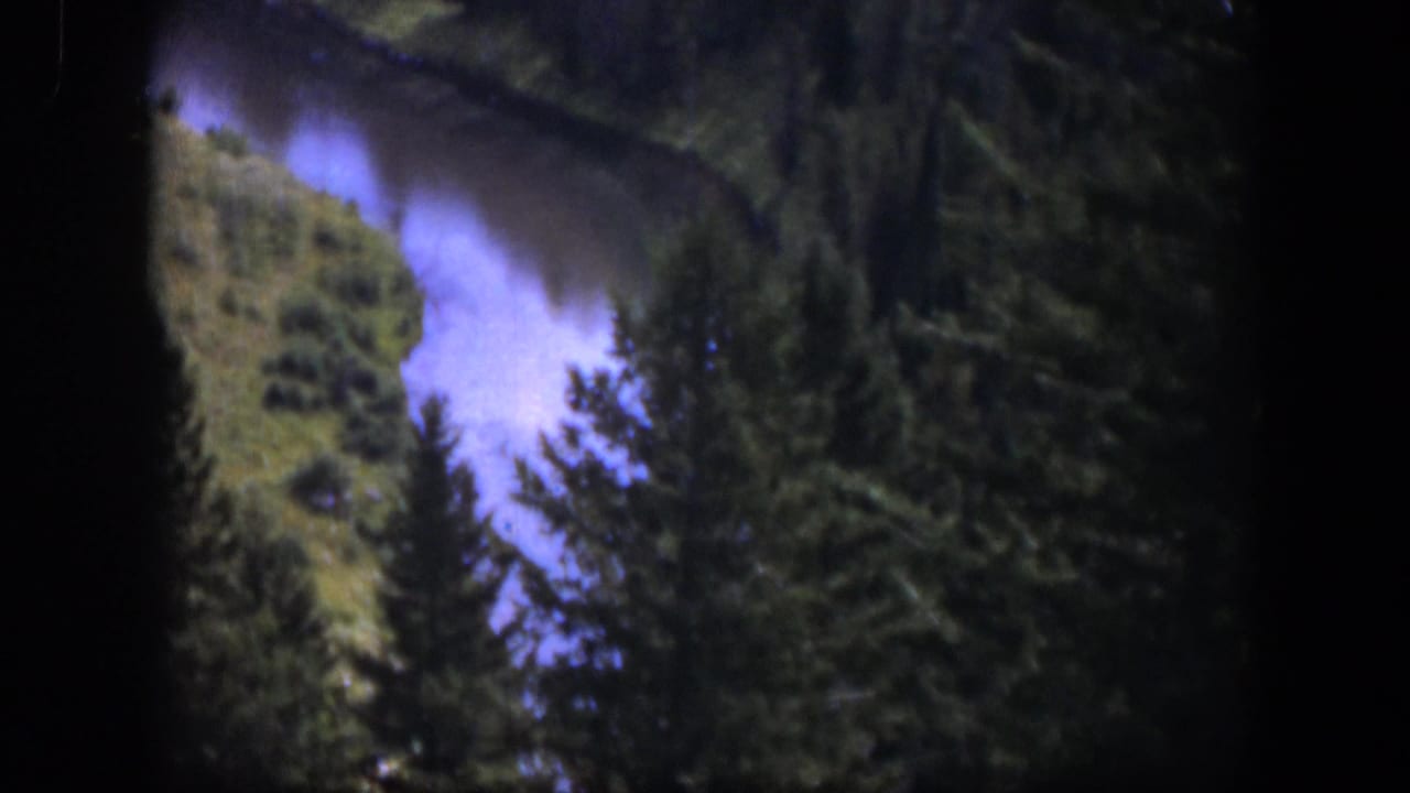 1951 Wyoming 8mm still of a river bend below dark pine trees, with soft grain and purple-blue color shift.