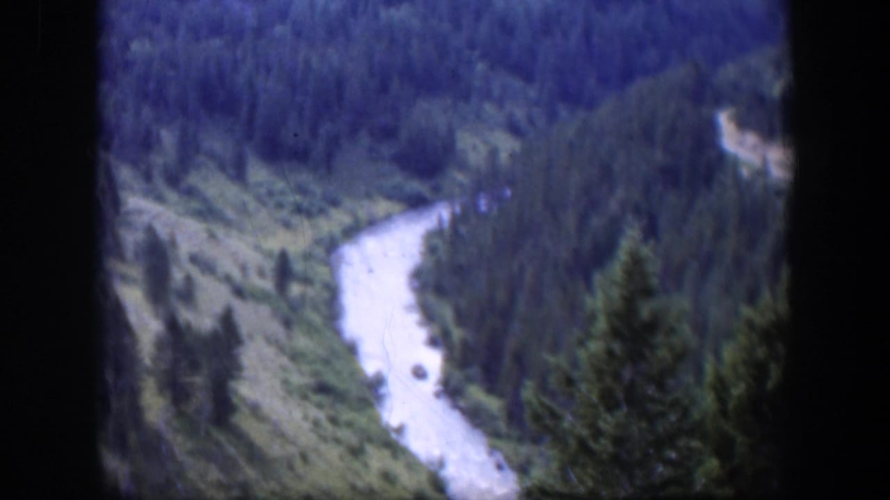 1951 Wyoming 8mm still showing a winding river below wooded hills, with foreground evergreens and soft home-movie focus.