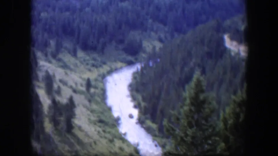 1951 Wyoming 8mm still showing a winding river below wooded hills, with foreground evergreens and soft home-movie focus.