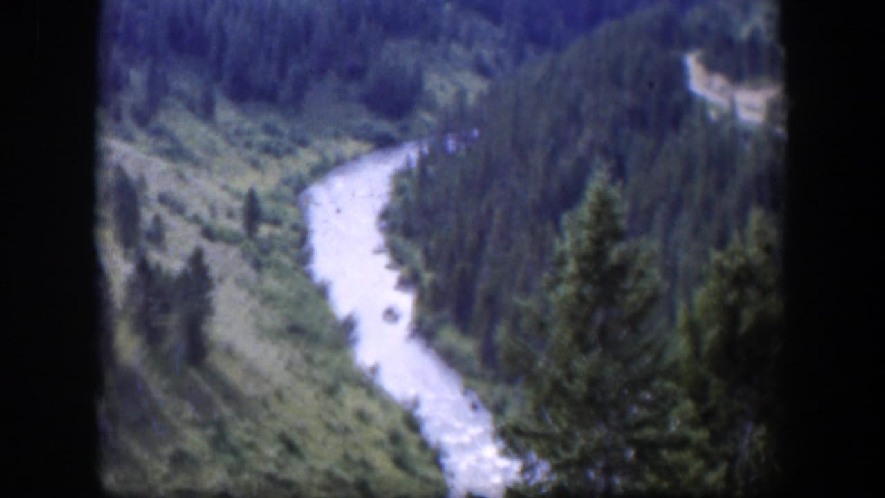 1951 Wyoming scenic frame of a pale river cutting through dense green forest, with dark 8mm borders and visible grain.
