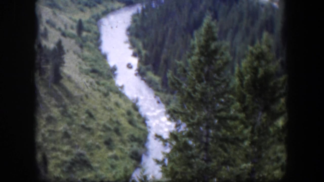 1951 Wyoming 8mm frame with a curving river channel, dense evergreens, and soft mountain-valley vegetation.