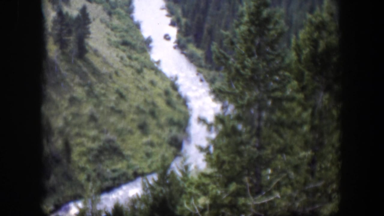 1951 Wyoming 8mm frame showing a winding mountain stream below dense pine-covered slopes.