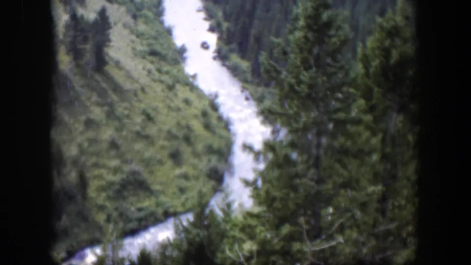 1951 Wyoming 8mm frame showing a winding mountain stream below dense pine-covered slopes.