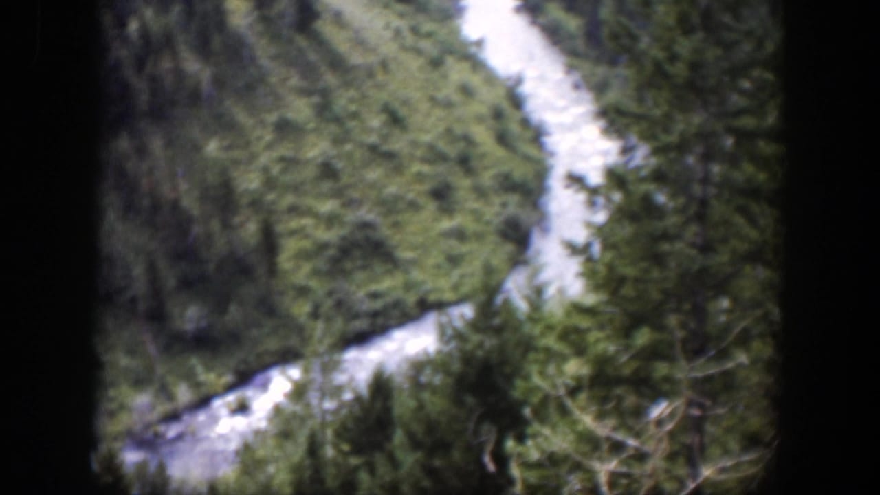 1951 Wyoming 8mm frame with a pale mountain stream winding between dense trees and grassy hillsides.