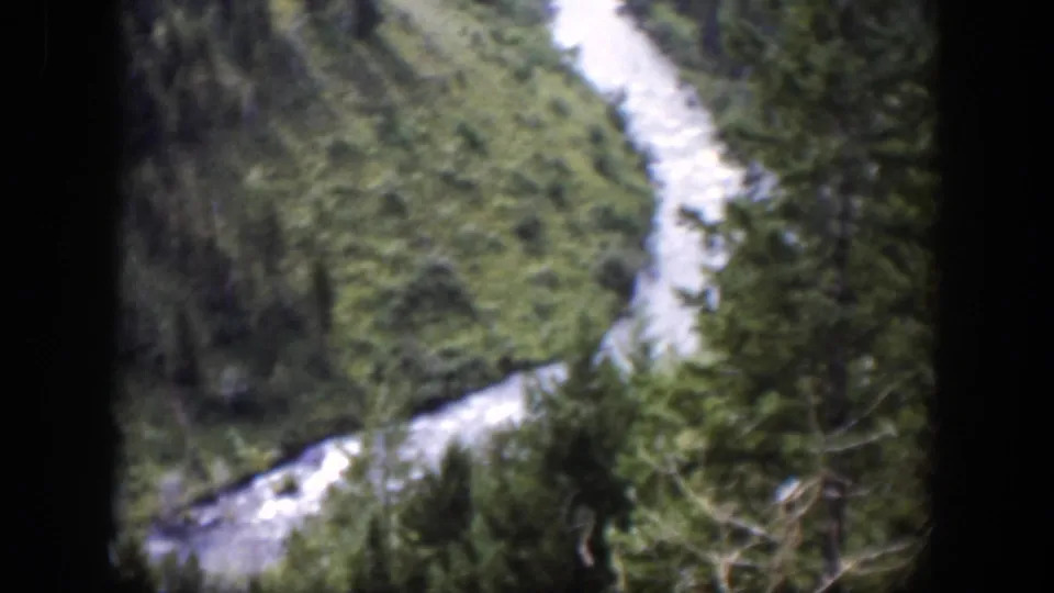 1951 Wyoming 8mm frame with a pale mountain stream winding between dense trees and grassy hillsides.