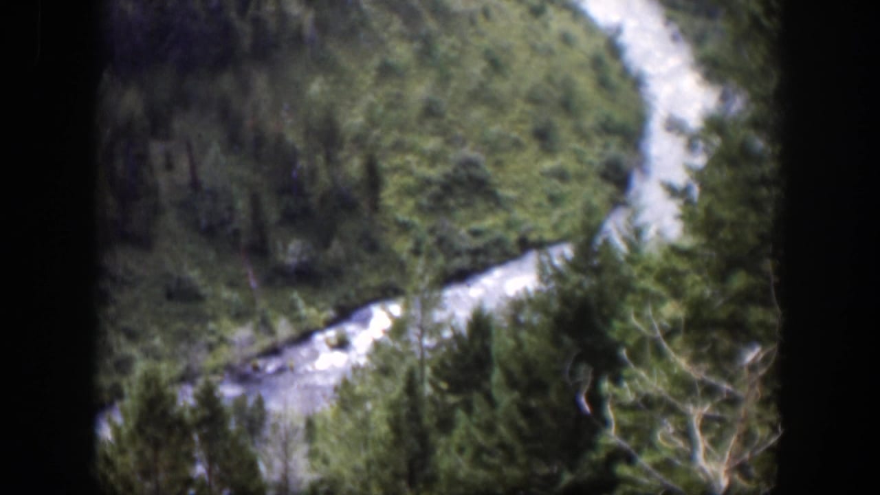 1951 Wyoming home-movie frame showing a winding stream and dense evergreen growth in a mountain valley.