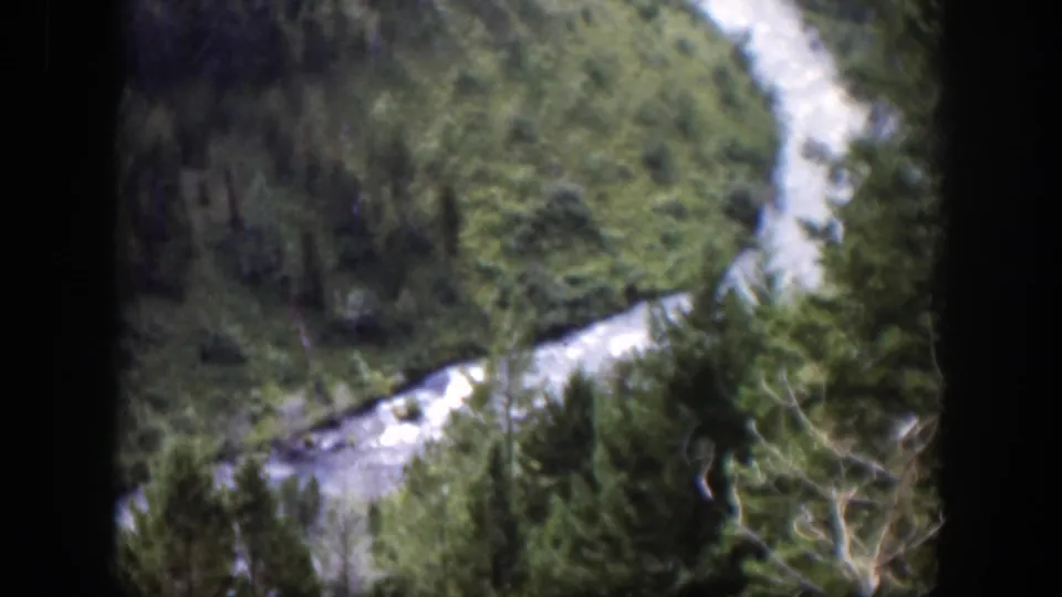 1951 Wyoming home-movie frame showing a winding stream and dense evergreen growth in a mountain valley.