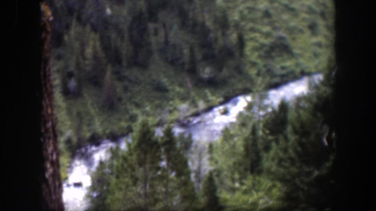 1951 Wyoming 8mm frame of a pale stream crossing a wooded valley, partly framed by dark tree trunks.