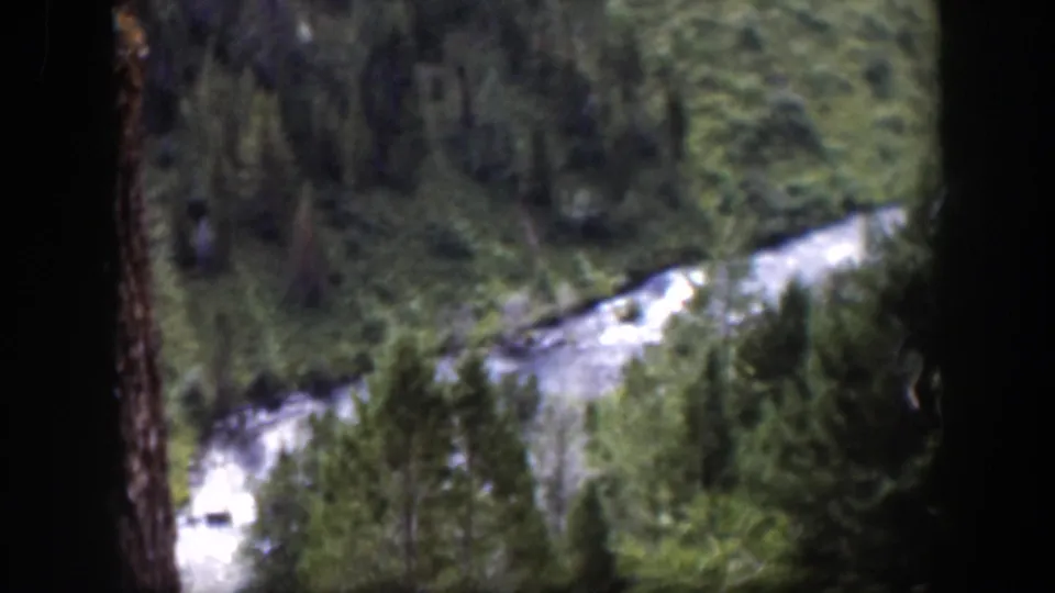 1951 Wyoming 8mm frame of a pale stream crossing a wooded valley, partly framed by dark tree trunks.