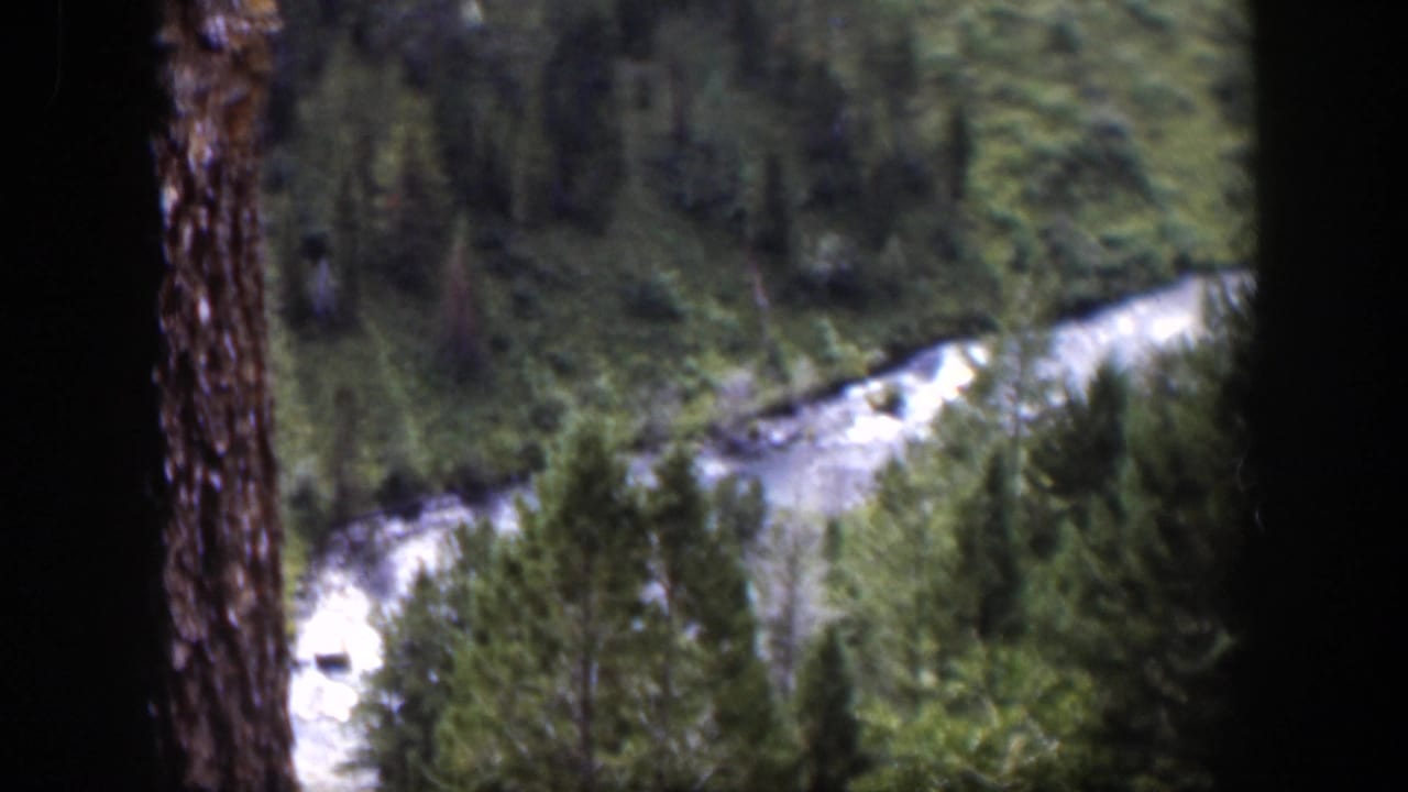 High-angle view of a pale river winding through evergreen forest.