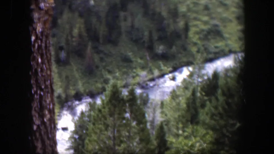 1951 Wyoming 8mm frame showing a winding river below dense forest, partly bordered by dark foreground edges.