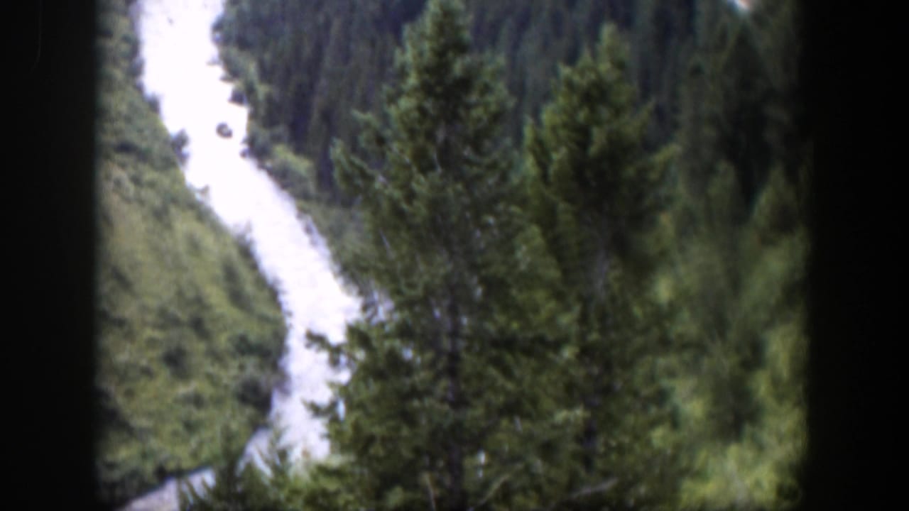 1951 Wyoming 8mm frame showing a narrow bright river channel descending through dense forested slopes.