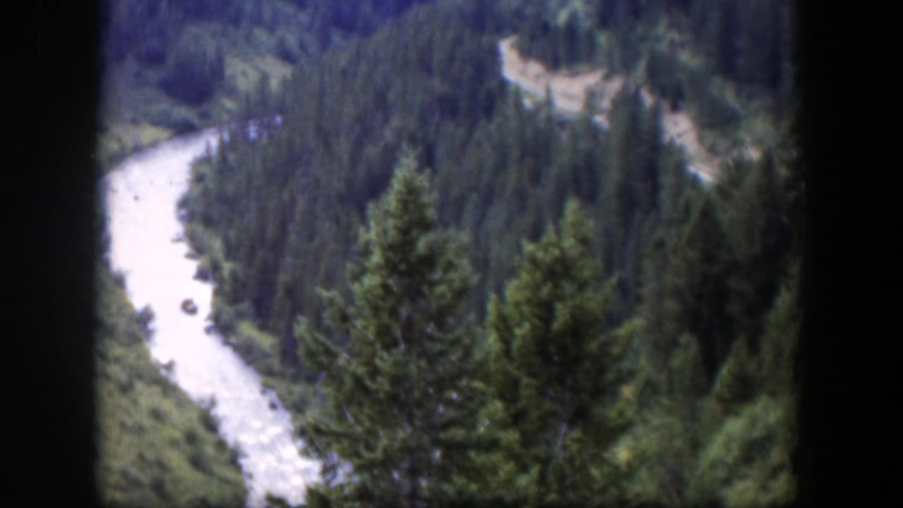 1951 Wyoming 8mm frame showing a pale winding river cutting through dense evergreen forest from a high overlook.