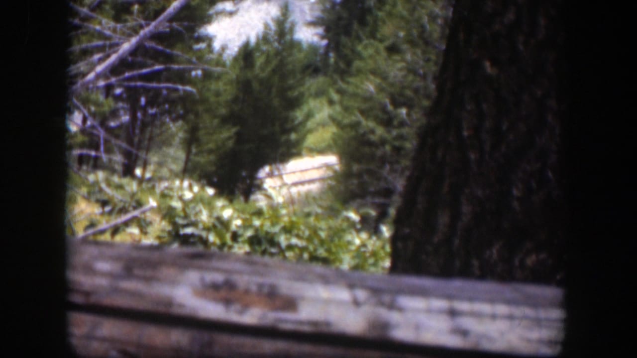 1951 Wyoming 8mm frame with dark tree trunks, forest foliage, a glimpse of road or river, and a weathered wooden foreground beam.
