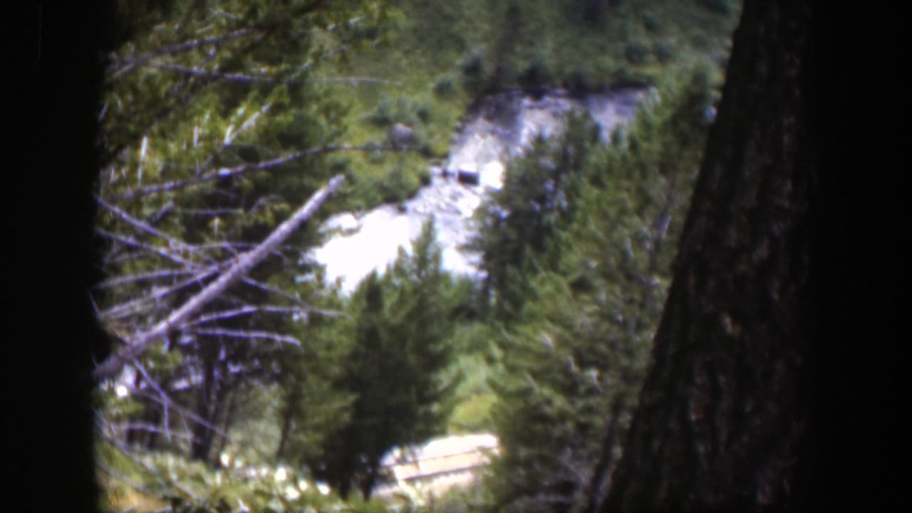 1951 Wyoming 8mm frame with a winding river bend, evergreen forest, branches, and dark tree trunks framing the elevated view.