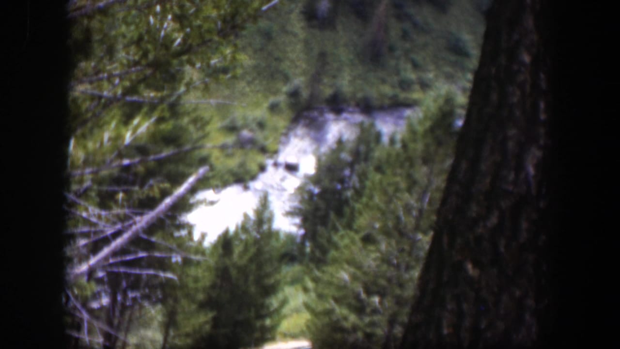 Forested river valley seen through dark tree trunks and branches.
