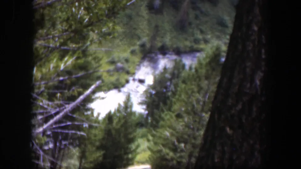 1951 Wyoming 8mm frame looking from a wooded hillside toward a bright river winding through dense evergreens.