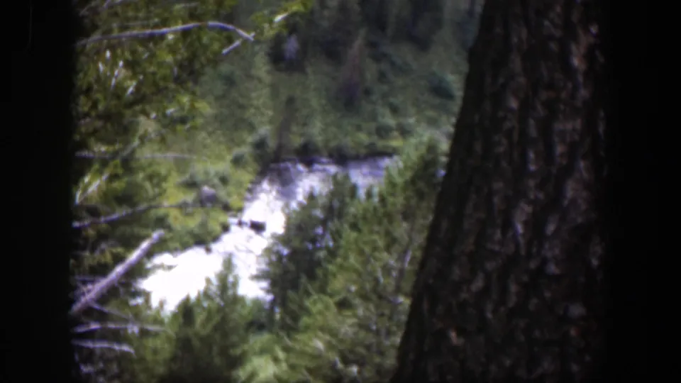 A Wyoming forest river is seen through foreground trunks, with the 8mm frame holding a soft, grainy hillside view.