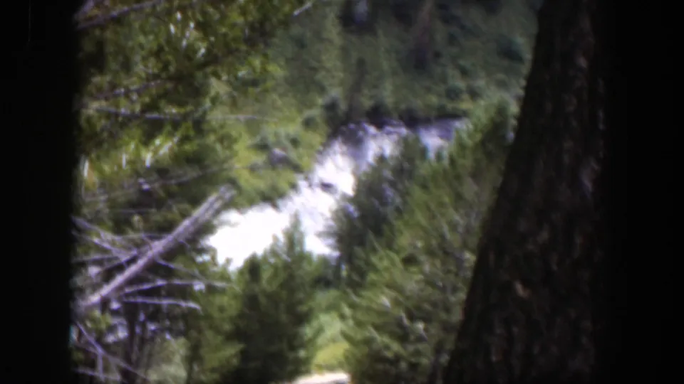 A soft 8mm view shows a bright river channel winding through dense Wyoming woods, framed by dark nearby tree trunks.