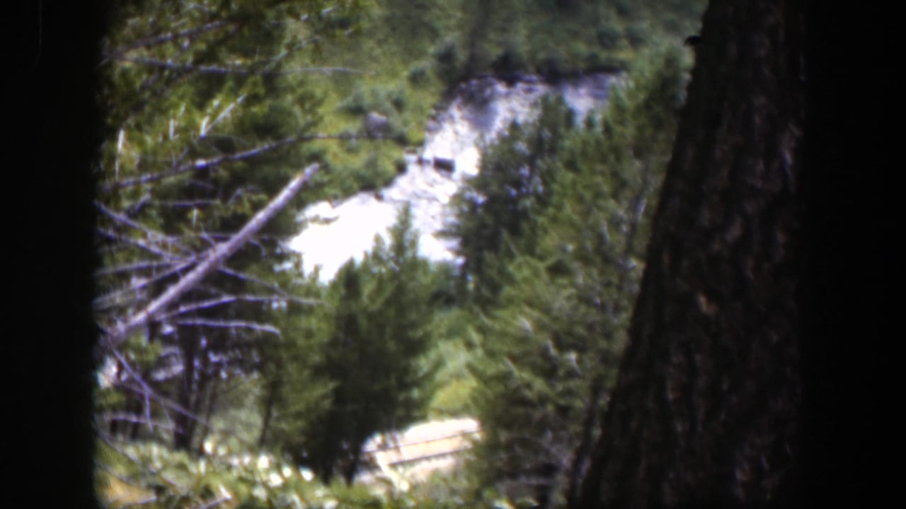 Forest trees frame a pale waterfall or rushing stream in the distance.