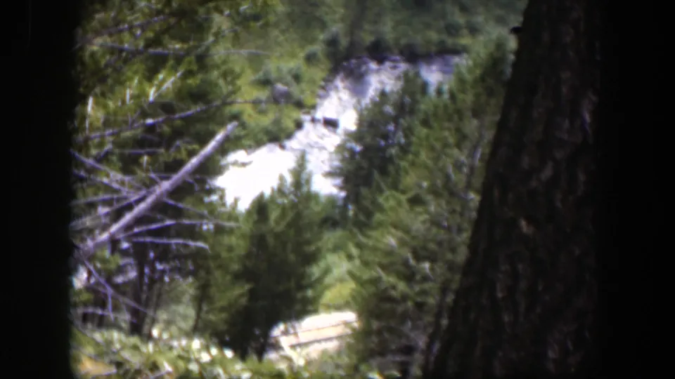 1951 Wyoming 8mm frame looking through evergreen trunks and branches toward pale rushing water in a forested landscape.
