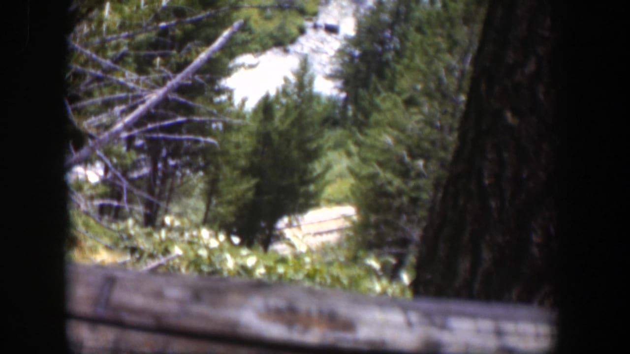 Evergreen trunks and a wooden rail partially obscure rushing water beyond.