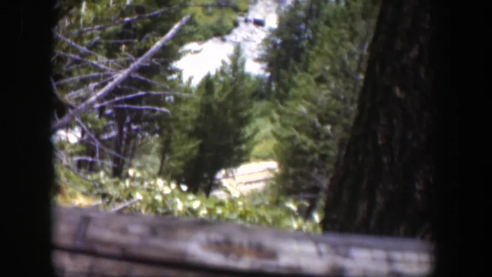 A Wyoming forest view on 8mm film, with dark tree trunks and a rough wooden rail before pale water in the background.