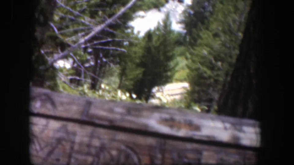Handheld 1951 Wyoming home-movie frame showing a rough rail, tree trunk, evergreen branches, and pale moving water beyond.