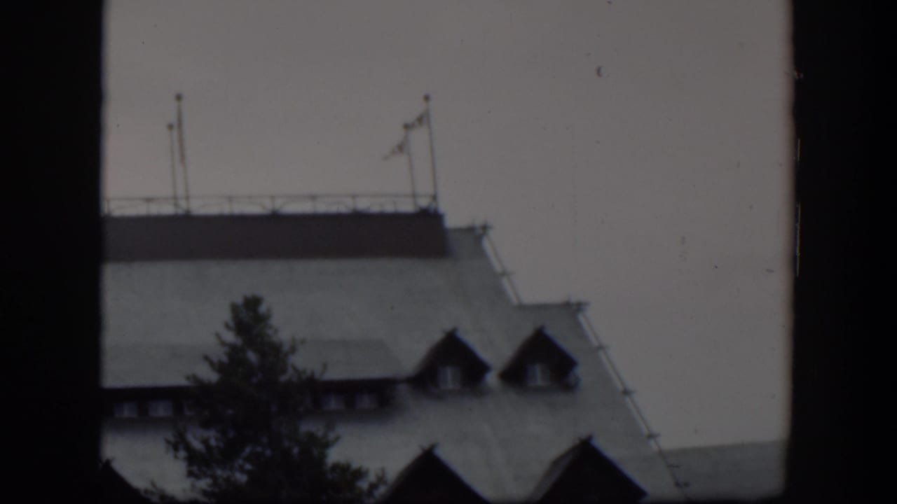 Large building roof with dormer windows partly hidden by a tree and dark film borders.